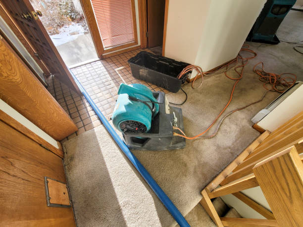 Sewage cleanup and water damage restoration in Marina Del Rey, CA