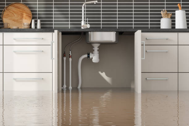 Best Sewage cleanup and water damage restoration  in Marina Del Rey, CA